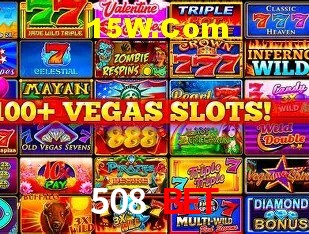 508 Bet - Login Methods